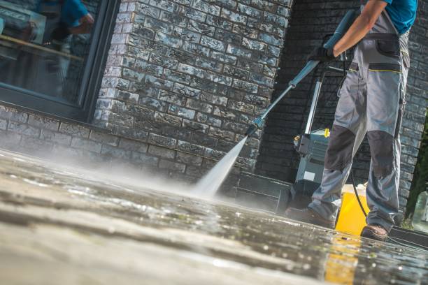 Animal Enclosure Cleaning in Lakeside, OR